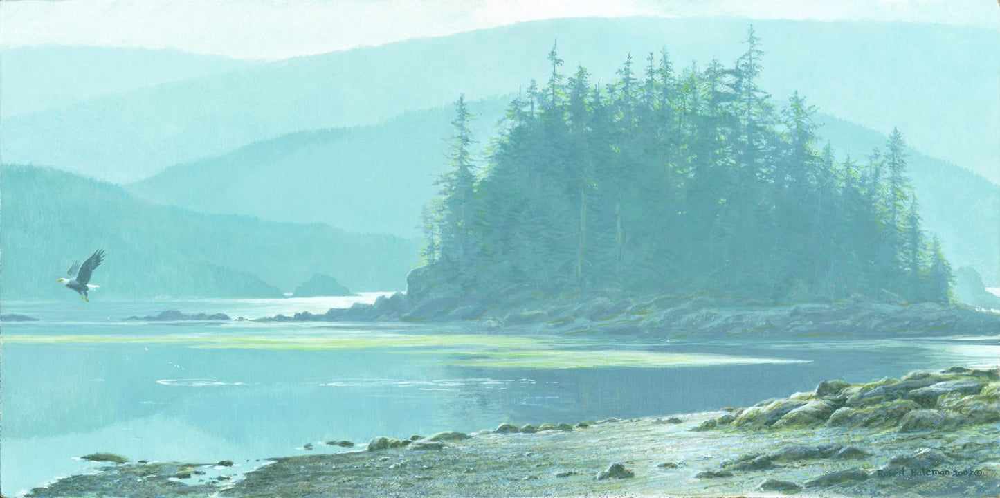 Along The Coast Bald Eagle