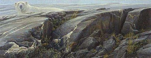 Arctic Landscape