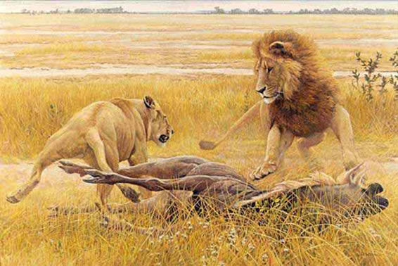 Dispute Over Prey