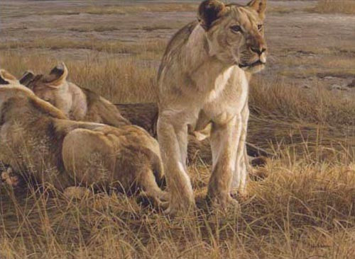 Lions At Dawn