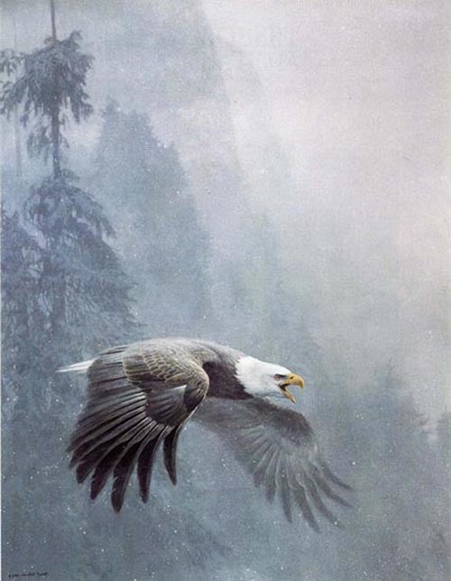 Vigilance
