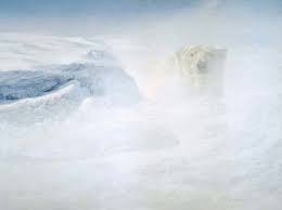 White Encounter – Polar Bear (2005)