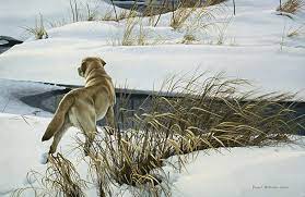 Winter Companion (1985)