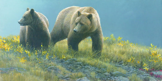 Alaska Light