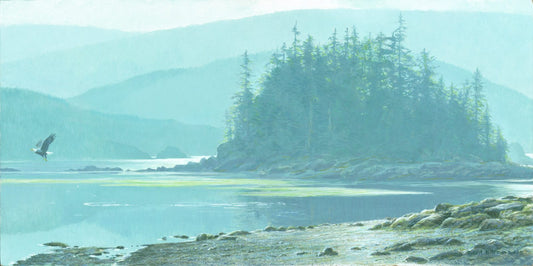 Along The Coast Bald Eagle