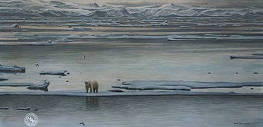 Arctic Ice Polar Bear