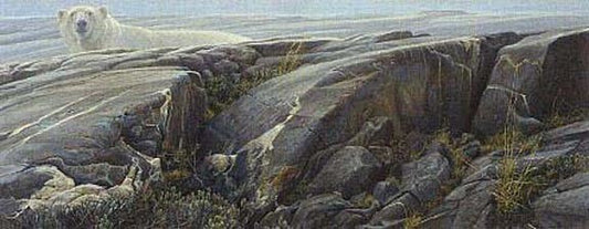 Arctic Landscape