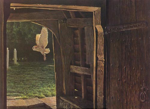 Barn Owl In The Churchyard