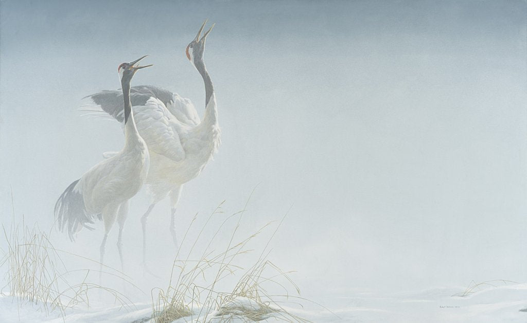 Cries of Courtship - Red-Crowned Cranes (1992)