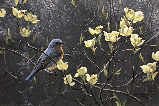 Bluebird and Blossoms