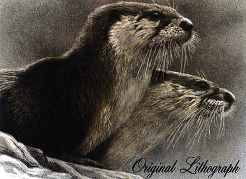 River Otters