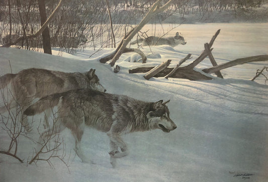 Wolfpack in Moonlight (1978)