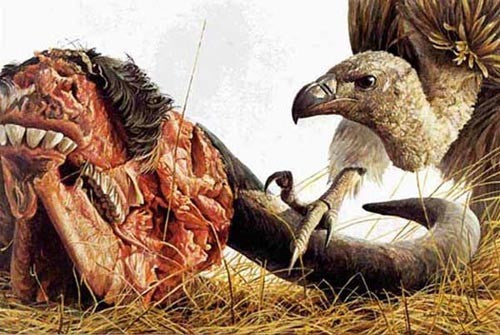 Vulture and Wildebeest